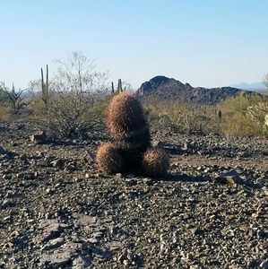 Meet your Posher, Jesus